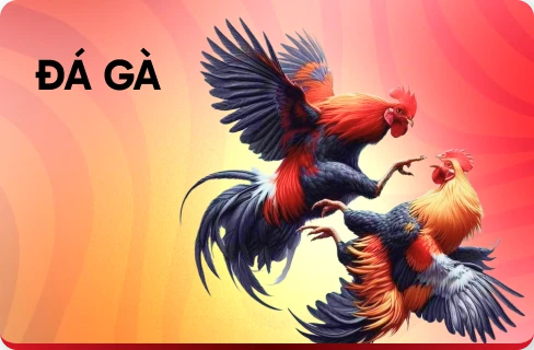 Đá Gà